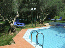 Olive Farm Pool
